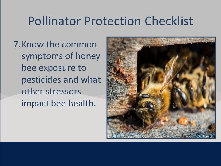 Click to edit Master title style Pollinator Protection Checklist 7. Know common • Click