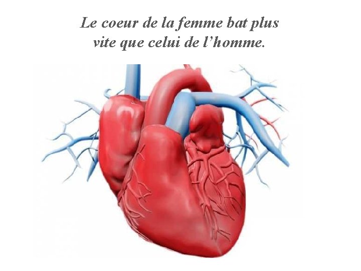 Le coeur de la femme bat plus vite que celui de l’homme. 