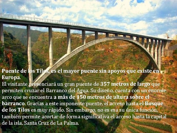 Viaducto de los Tilos (La Palma, Islas Canarias) Puente de los Tilos, es el