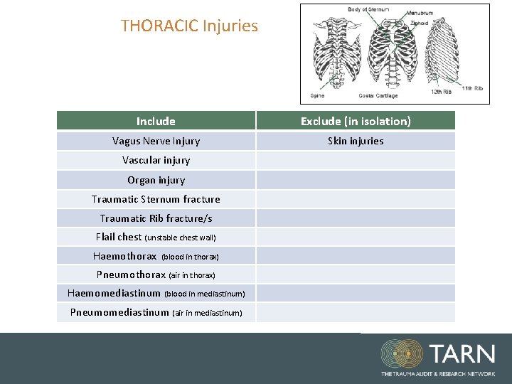 THORACIC Injuries Include Exclude (in isolation) Vagus Nerve Injury Skin injuries Vascular injury Organ THORACIC Injuries Include Exclude (in isolation) Vagus Nerve Injury Skin injuries Vascular injury Organ
