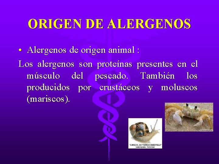 ORIGEN DE ALERGENOS • Alergenos de origen animal : Los alergenos son proteínas presentes