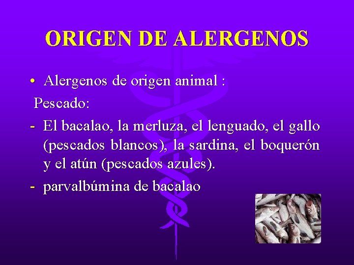 ORIGEN DE ALERGENOS • Alergenos de origen animal : Pescado: - El bacalao, la