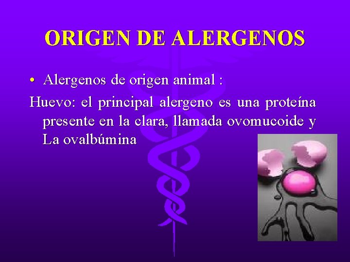ORIGEN DE ALERGENOS • Alergenos de origen animal : Huevo: el principal alergeno es