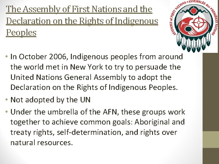 The Assembly of First Nations and the Declaration on the Rights of Indigenous Peoples