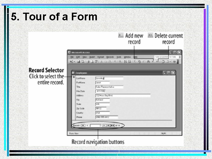 5. Tour of a Form 