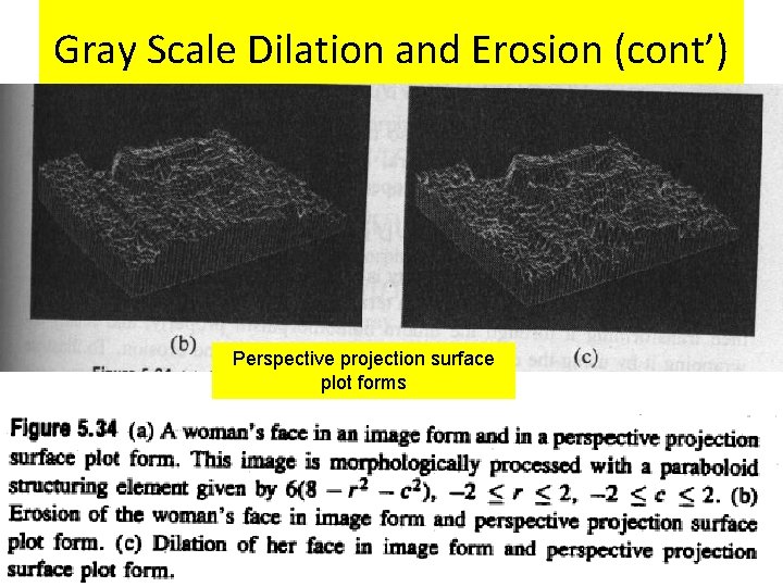 Gray Scale Dilation and Erosion (cont’) Perspective projection surface plot forms 
