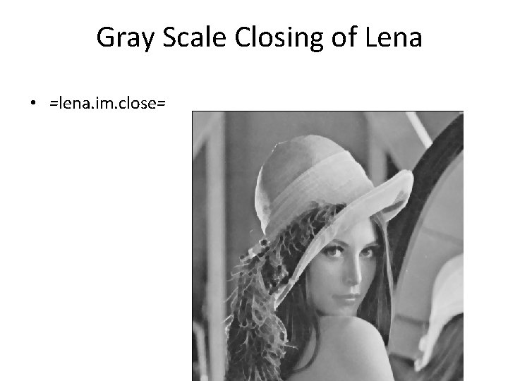 Gray Scale Closing of Lena • =lena. im. close= 
