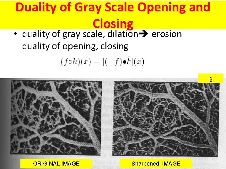 Duality of Gray Scale Opening and Closing • duality of gray scale, dilation erosion