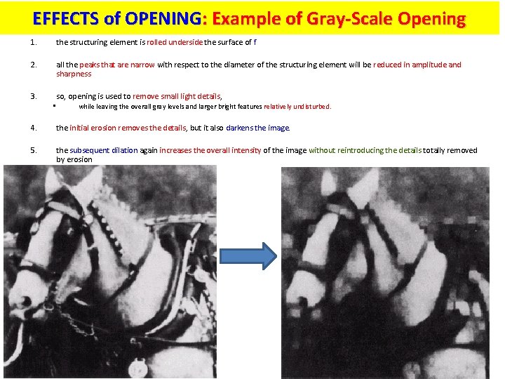 EFFECTS of OPENING: Example of Gray-Scale Opening 1. the structuring element is rolled underside
