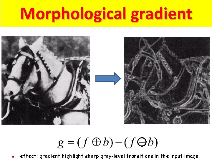 Morphological gradient n effect: gradient highlight sharp gray-level transitions in the input image. 