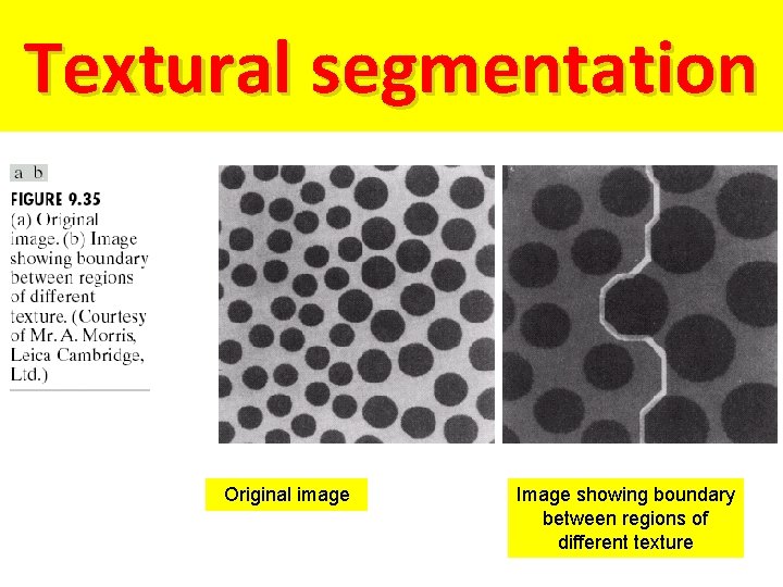 Textural segmentation Original image Image showing boundary between regions of different texture 
