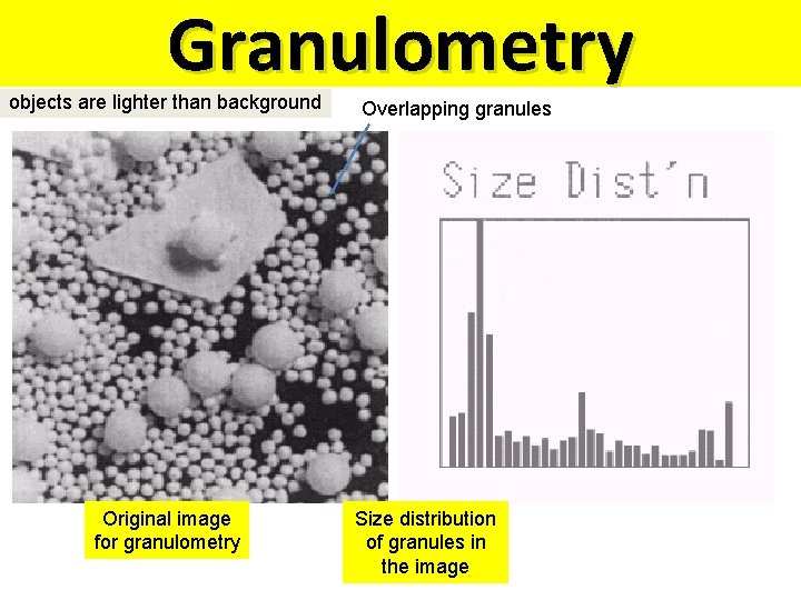 Granulometry objects are lighter than background Original image for granulometry Overlapping granules Size distribution