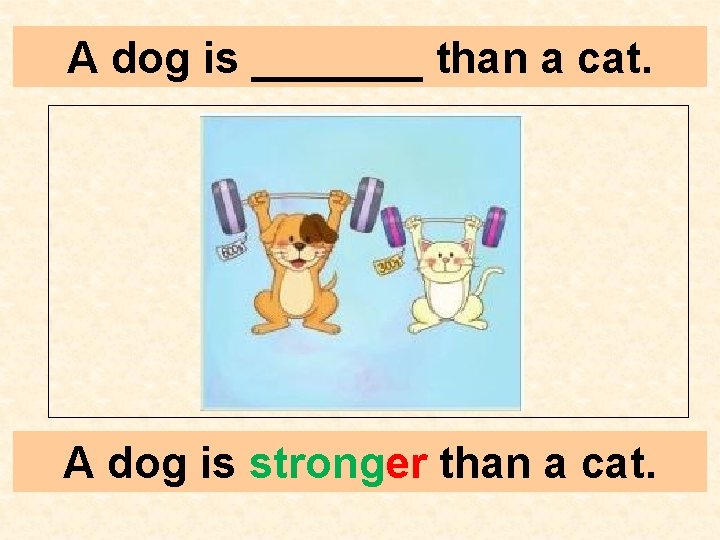 A dog is _______ than a cat. A dog is stronger than a cat.