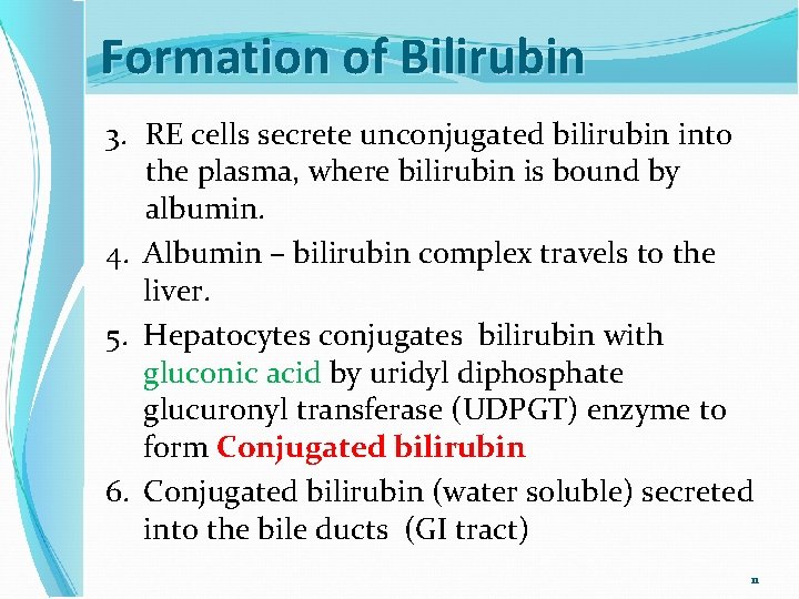 Formation of Bilirubin 3. RE cells secrete unconjugated bilirubin into the plasma, where bilirubin