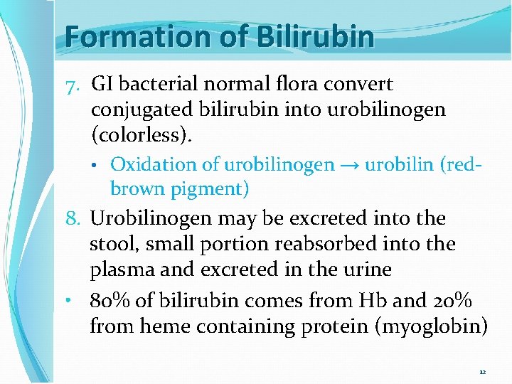 Formation of Bilirubin 7. GI bacterial normal flora convert conjugated bilirubin into urobilinogen (colorless).