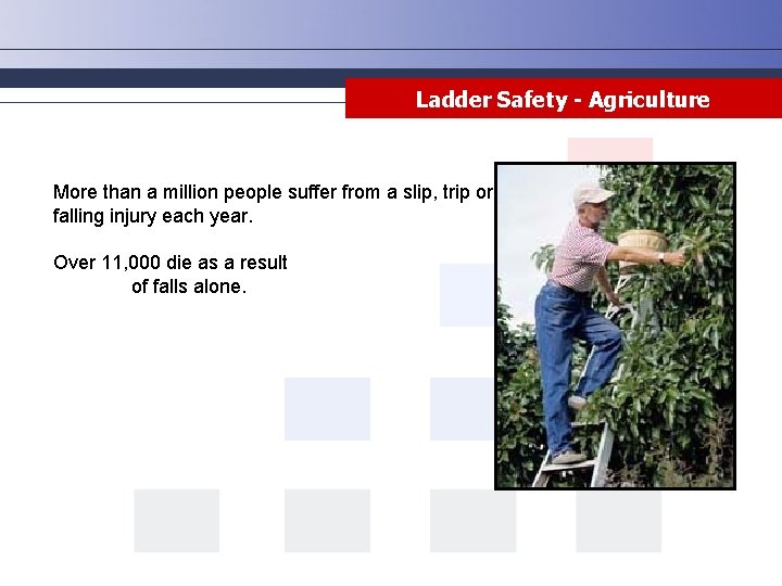 Ladder Safety - Agriculture More than a million people suffer from a slip, trip