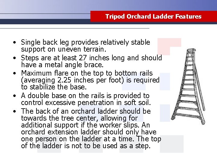 Tripod Orchard Ladder Features • Single back leg provides relatively stable support on uneven