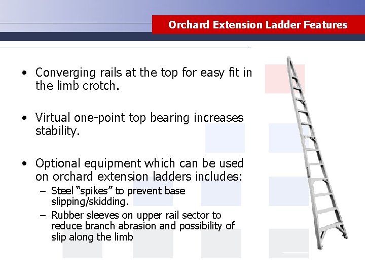 Orchard Extension Ladder Features • Converging rails at the top for easy fit in