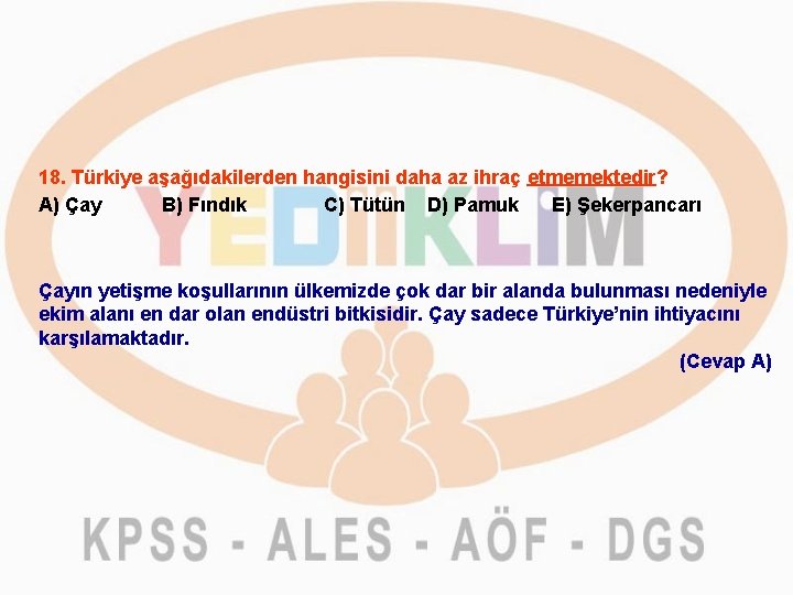 18. Türkiye aşağıdakilerden hangisini daha az ihraç etmemektedir? A) Çay B) Fındık C) Tütün