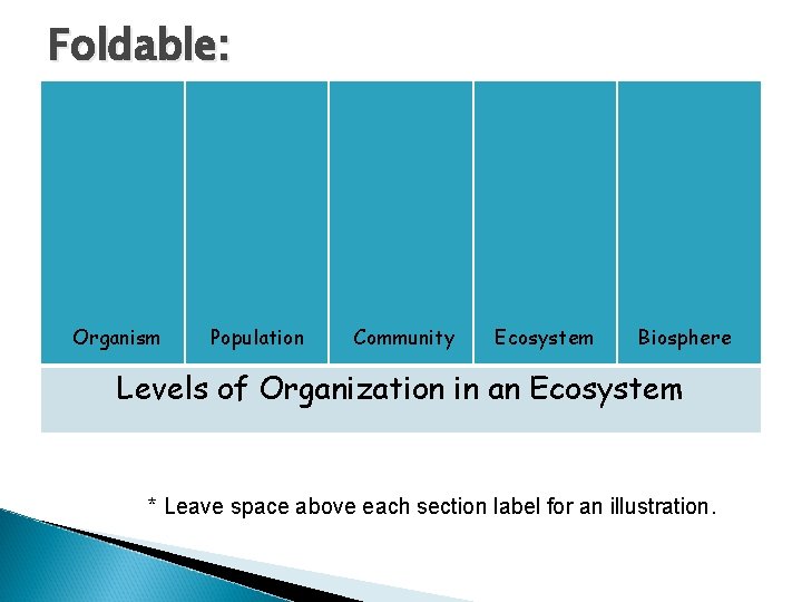 Draw the following chart into your composition book