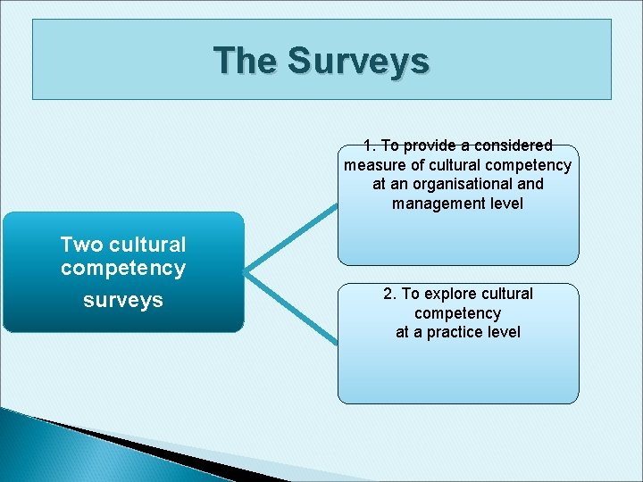 The Surveys 1. To provide a considered measure of cultural competency at an organisational The Surveys 1. To provide a considered measure of cultural competency at an organisational