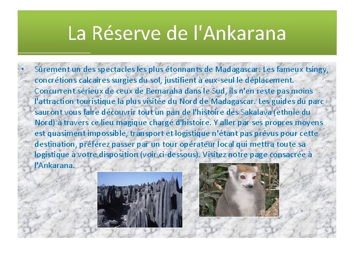 La Réserve de l'Ankarana • Sûrement un des spectacles plus étonnants de Madagascar. Les