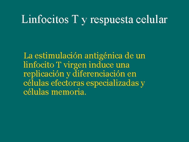 Linfocitos T y respuesta celular La estimulación antigénica de un linfocito T virgen induce Linfocitos T y respuesta celular La estimulación antigénica de un linfocito T virgen induce
