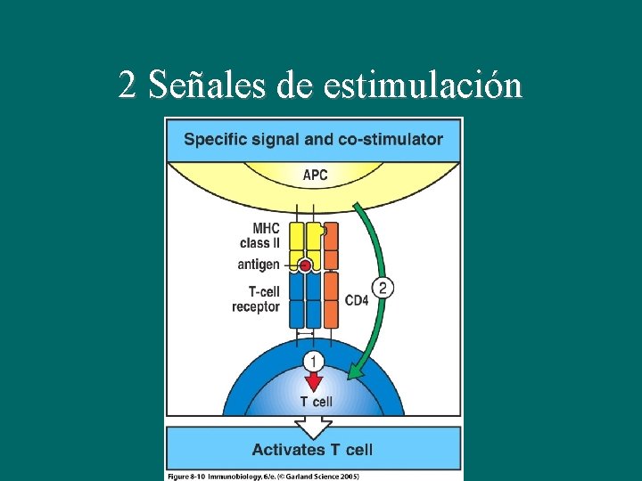 2 Señales de estimulación 