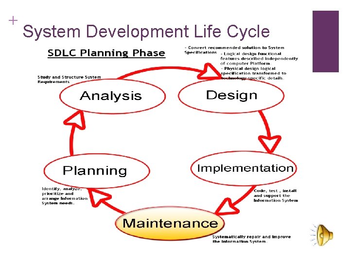 + System Development Life Cycle 