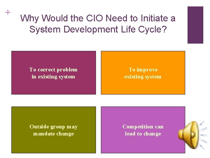 + Why Would the CIO Need to Initiate a System Development Life Cycle? To