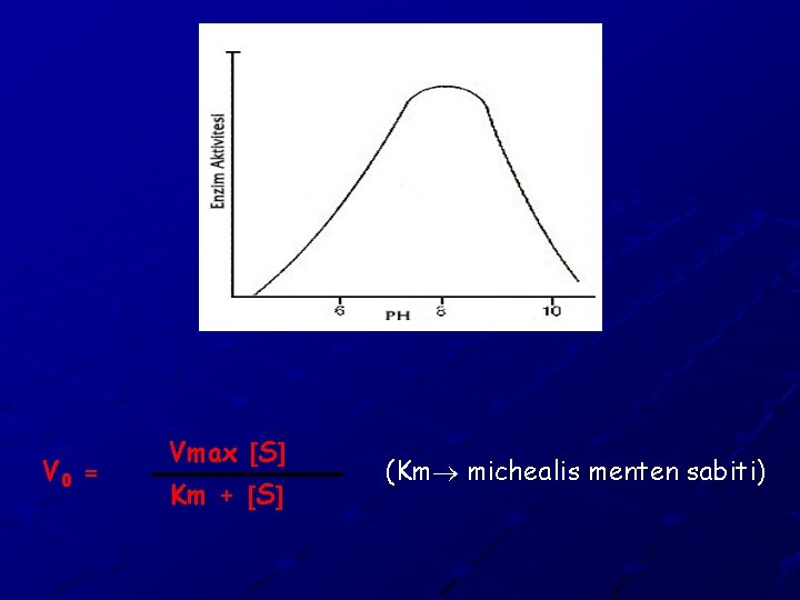 V 0 = Vmax S Km + S (Km michealis menten sabiti) 