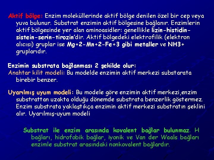 Aktif bölge: Enzim moleküllerinde aktif bölge denilen özel bir cep veya yuva bulunur. Substrat