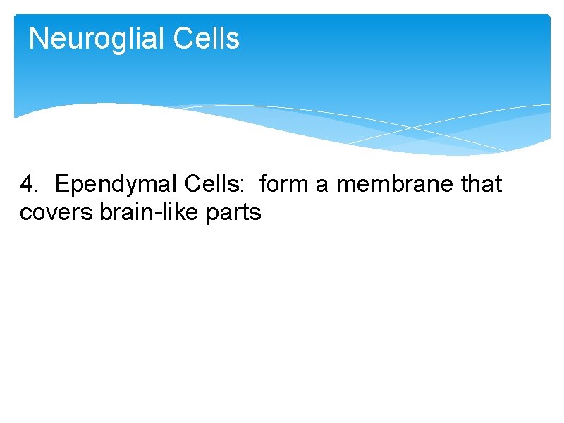 Neuroglial Cells 4. Ependymal Cells: form a membrane that covers brain-like parts Neuroglial Cells 4. Ependymal Cells: form a membrane that covers brain-like parts