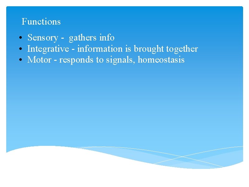 Functions • Sensory - gathers info • Integrative - information is brought together •