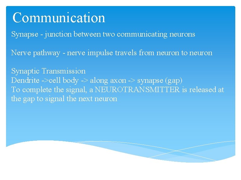 Communication Synapse - junction between two communicating neurons Nerve pathway - nerve impulse travels