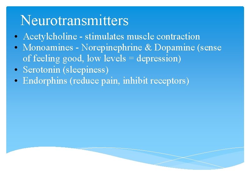 Neurotransmitters • Acetylcholine - stimulates muscle contraction • Monoamines - Norepinephrine & Dopamine (sense