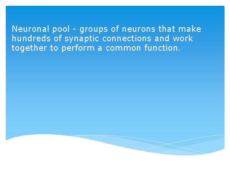 Neuronal pool - groups of neurons that make hundreds of synaptic connections and work Neuronal pool - groups of neurons that make hundreds of synaptic connections and work