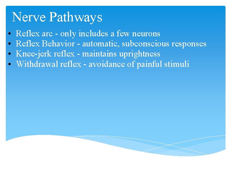 Nerve Pathways • • Reflex arc - only includes a few neurons Reflex Behavior