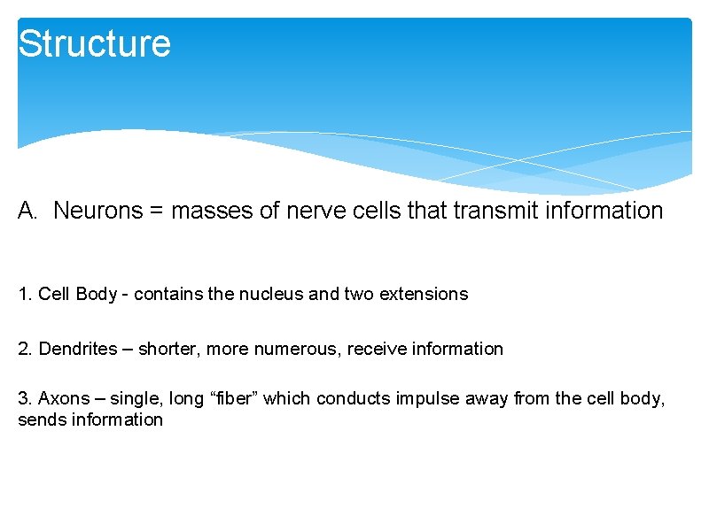Structure A. Neurons = masses of nerve cells that transmit information 1. Cell Body Structure A. Neurons = masses of nerve cells that transmit information 1. Cell Body