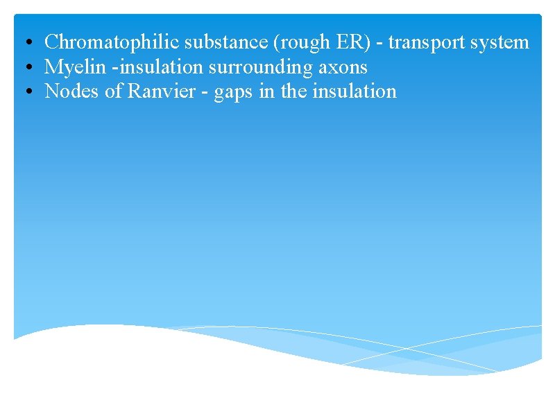  • Chromatophilic substance (rough ER) - transport system • Myelin -insulation surrounding axons