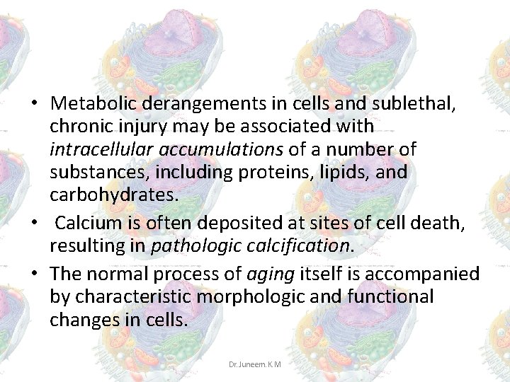 • Metabolic derangements in cells and sublethal, chronic injury may be associated with • Metabolic derangements in cells and sublethal, chronic injury may be associated with