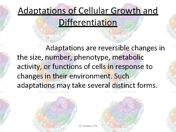 Adaptations of Cellular Growth and Differentiation Adaptations are reversible changes in the size, number, Adaptations of Cellular Growth and Differentiation Adaptations are reversible changes in the size, number,