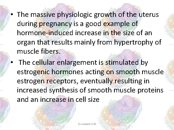 • The massive physiologic growth of the uterus during pregnancy is a good • The massive physiologic growth of the uterus during pregnancy is a good