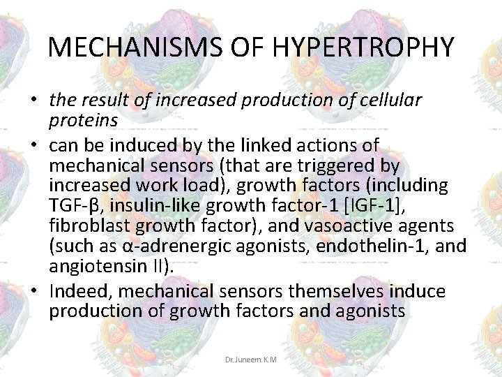 MECHANISMS OF HYPERTROPHY • the result of increased production of cellular proteins • can MECHANISMS OF HYPERTROPHY • the result of increased production of cellular proteins • can