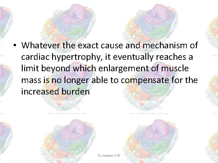 • Whatever the exact cause and mechanism of cardiac hypertrophy, it eventually reaches • Whatever the exact cause and mechanism of cardiac hypertrophy, it eventually reaches