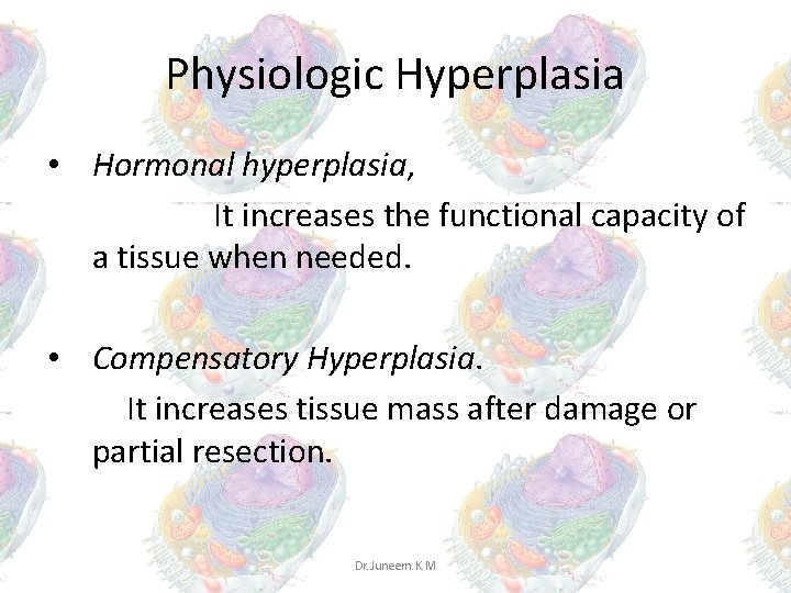 Physiologic Hyperplasia • Hormonal hyperplasia, It increases the functional capacity of a tissue when Physiologic Hyperplasia • Hormonal hyperplasia, It increases the functional capacity of a tissue when
