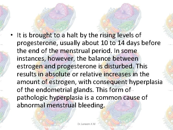 • It is brought to a halt by the rising levels of progesterone, • It is brought to a halt by the rising levels of progesterone,