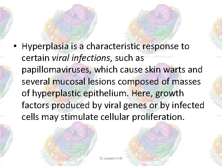 • Hyperplasia is a characteristic response to certain viral infections, such as papillomaviruses, • Hyperplasia is a characteristic response to certain viral infections, such as papillomaviruses,