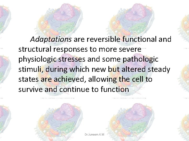 Adaptations are reversible functional and structural responses to more severe physiologic stresses and some Adaptations are reversible functional and structural responses to more severe physiologic stresses and some