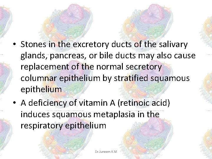 • Stones in the excretory ducts of the salivary glands, pancreas, or bile • Stones in the excretory ducts of the salivary glands, pancreas, or bile